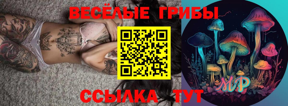 Галлюциногенные грибы мицелий  Псилоцибиновые грибы GOLDEN TEACHER  Клин  что такое наркотик  Вход с VPN 