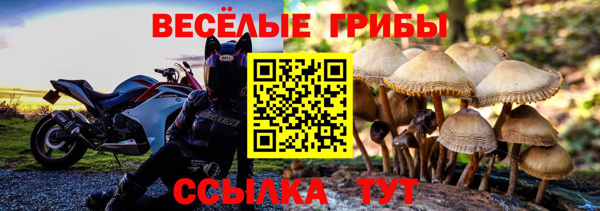 Галлюциногенные грибы GOLDEN TEACHER Клин